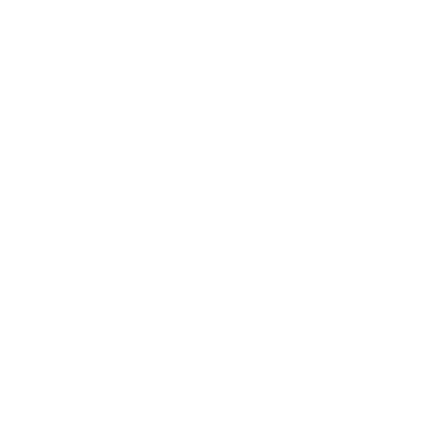 Black Swan Media Favicon