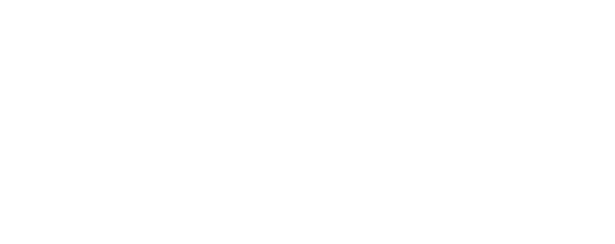 Black Swan Media Logo