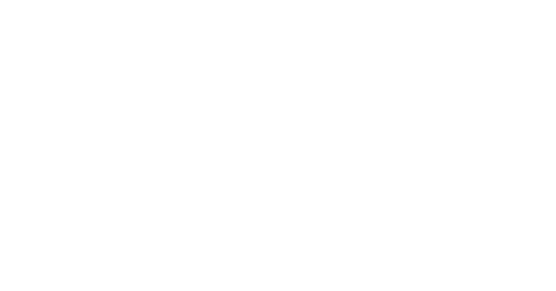 The Single Wives SA Logo